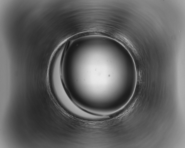 X0000096990780200802081427