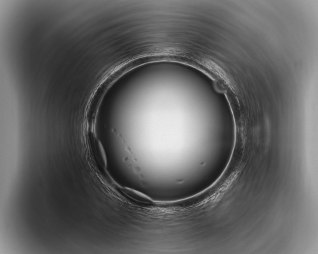 X0000096990781200802081427