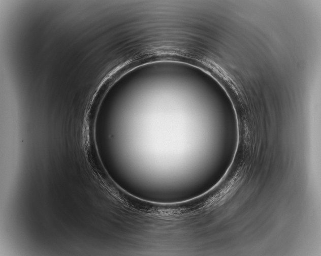 X0000096990782200802081427