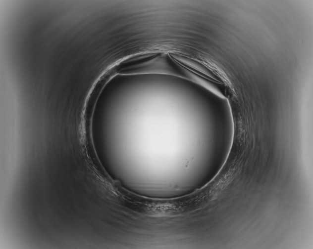 X0000096990784200802081427