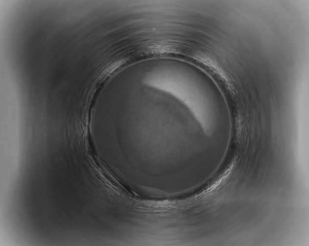 X0000096990785200802081427