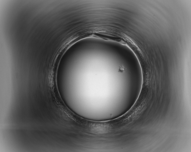 X0000096990786200802081427
