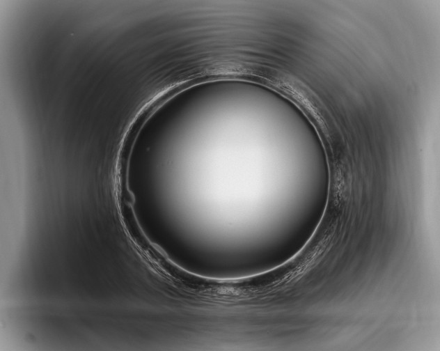 X0000096990787200802081427