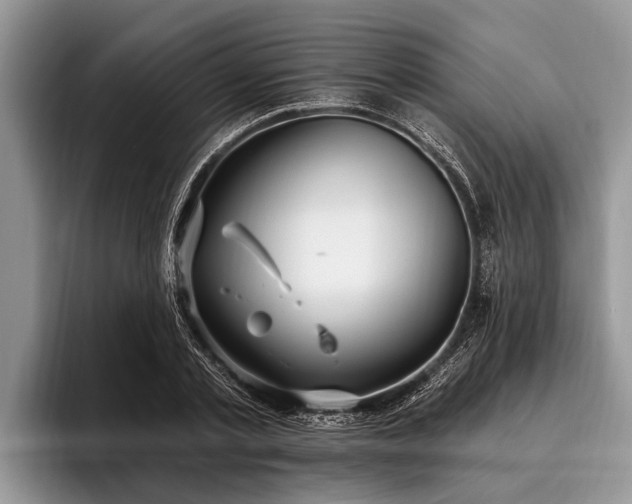 X0000096990789200802081427