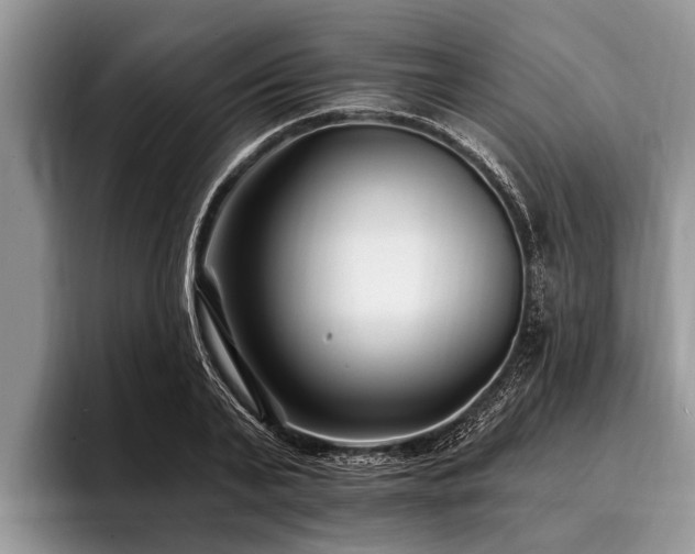 X0000096990791200802081427