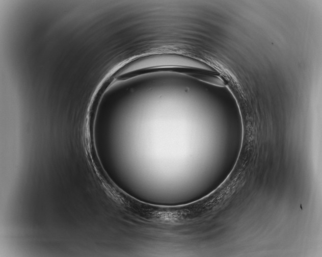 X0000096990792200802081427
