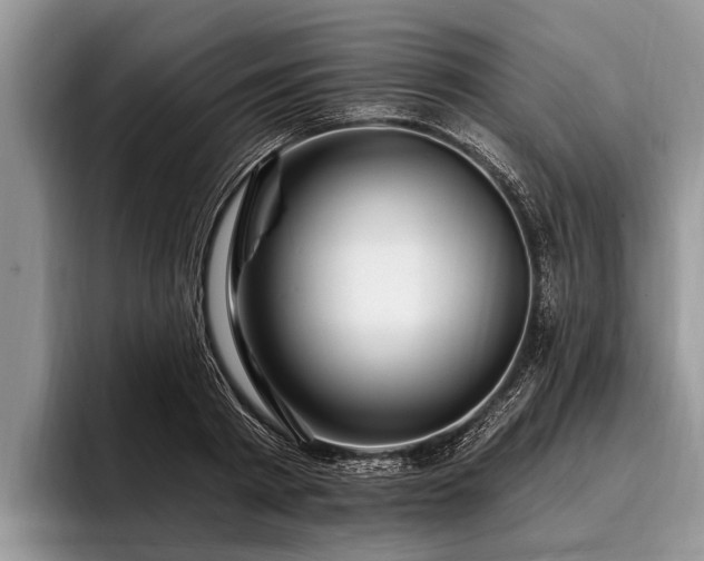 X0000096990793200802081427