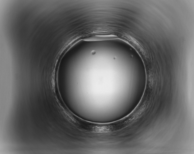 X0000096990794200802081427