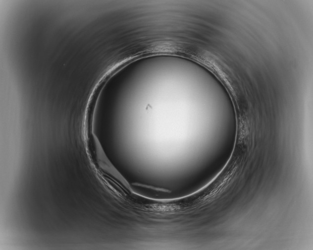 X0000096990795200802081427