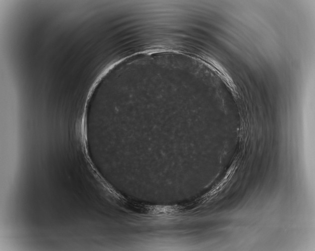 X0000096990796200802081427