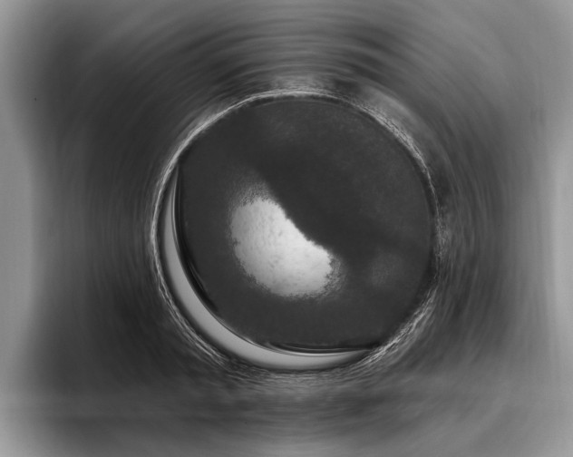X0000096990797200802081427