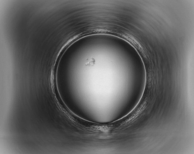 X0000096990798200802081427