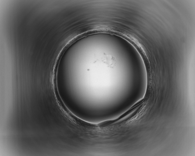 X0000096990799200802081427