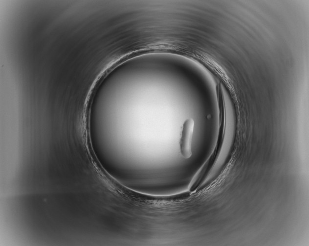 X0000096990800200802081427