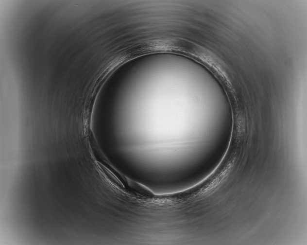 X0000096990801200802081427