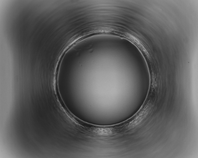 X0000096990802200802081427