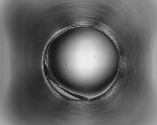 X0000096990803200802081427