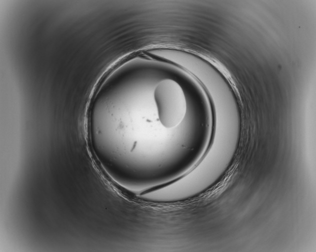X0000096990807200802081427