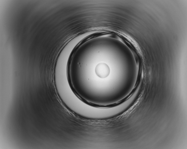 X0000096990809200802081427