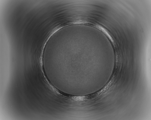 X0000096990810200802081427