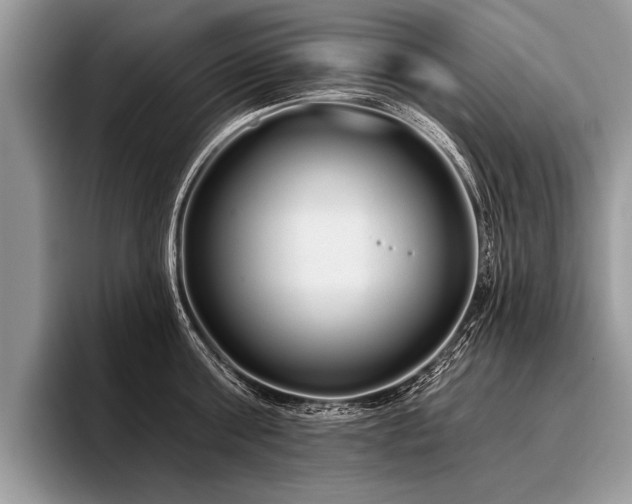 X0000096990811200802081427