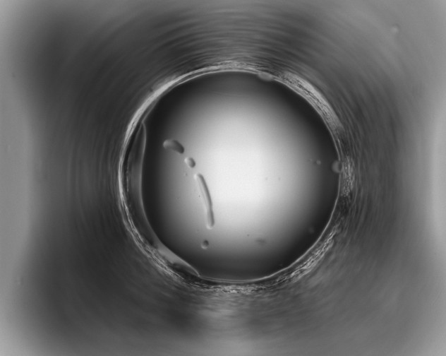 X0000096990812200802081427