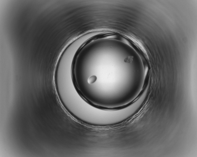 X0000096990813200802081427