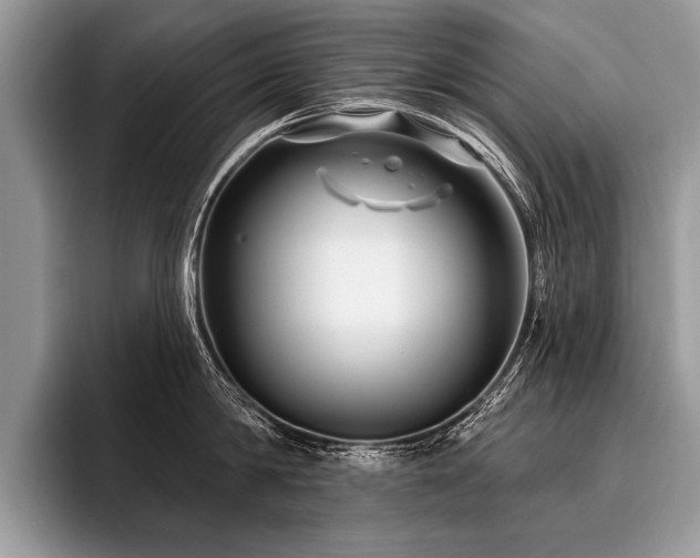 X0000096990814200802081426