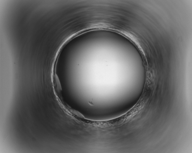 X0000096990815200802081426