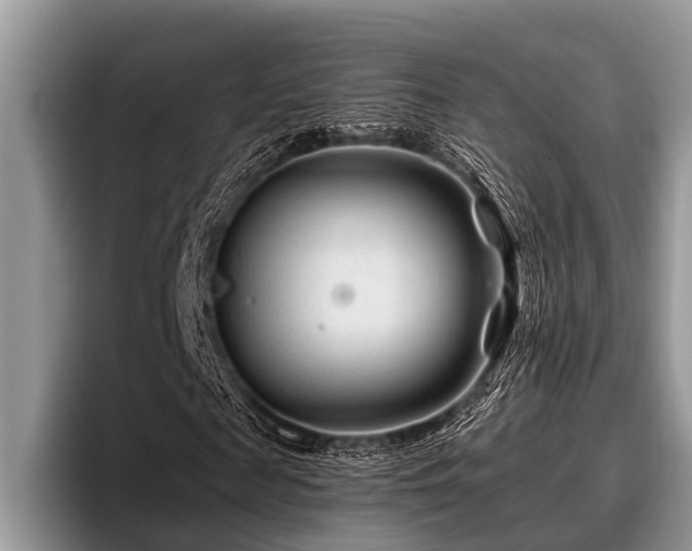 X0000096990817200802081426