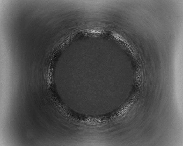 X0000096990818200802081426