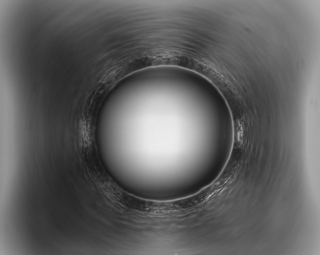 X0000096990819200802081426