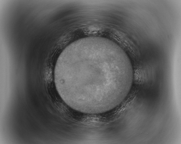 X0000096990820200802081426