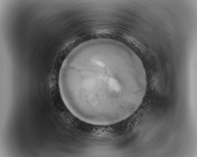 X0000096990824200802081426