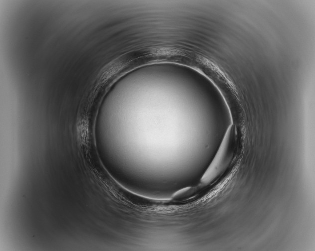 X0000096990825200802081426