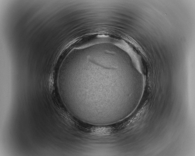 X0000096990826200802081426