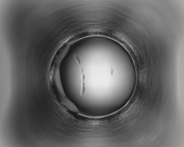 X0000096990829200802081426