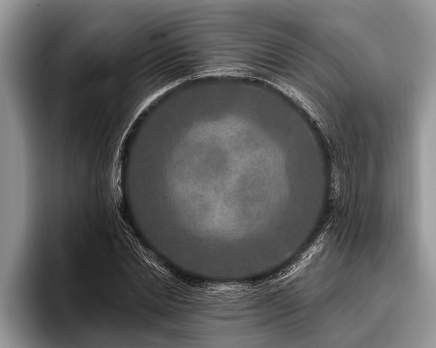 X0000096990830200802081426