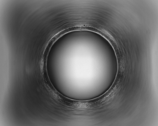X0000096990831200802081426