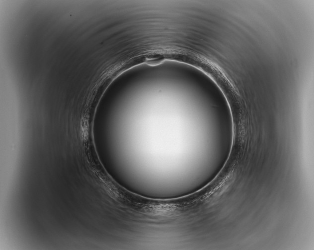 X0000096990833200802081426