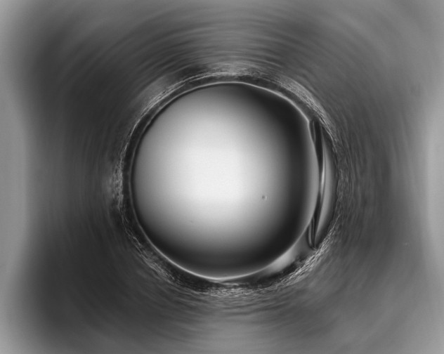 X0000096990834200802081426