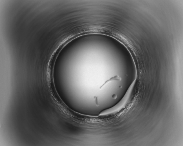 X0000096990835200802081426