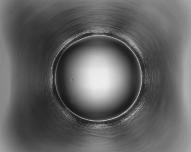 X0000096990837200802081426