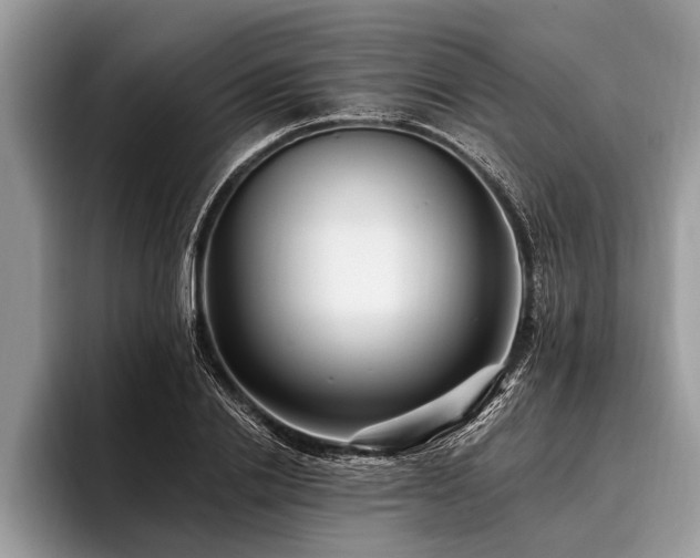 X0000096990838200802081426