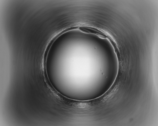 X0000096990839200802081426
