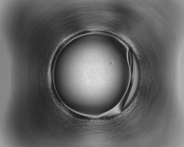 X0000096990840200802081426