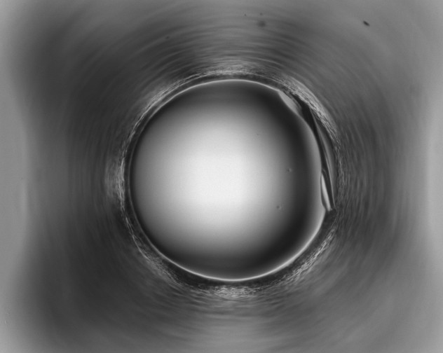 X0000096990842200802081426