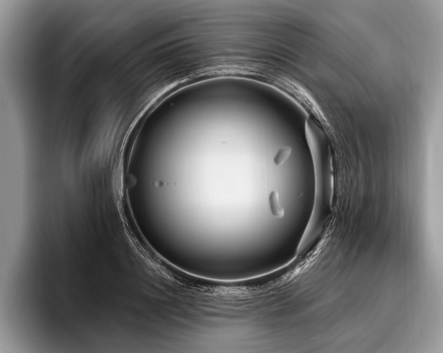 X0000096990844200802081426
