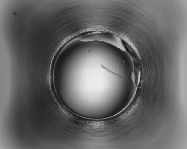 X0000096990845200802081426