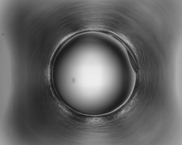 X0000096990846200802081426